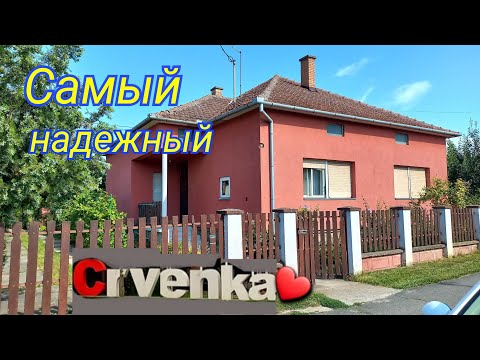 Видео: 📌 ПРОДАН. Дом в городке Црвенка. #домавсербии 