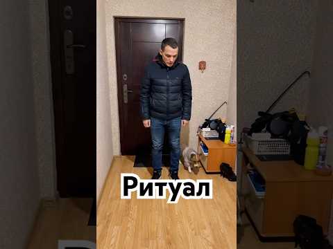 Видео: Ритуал #собака #джекрасселтерьер #dog #jackrussellterrier #dogs #pets