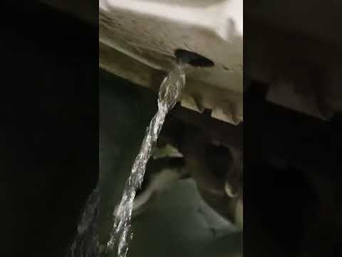 Видео: форд фокус 3 стоит вода в багажнике под запаской и в салоне под ковриком