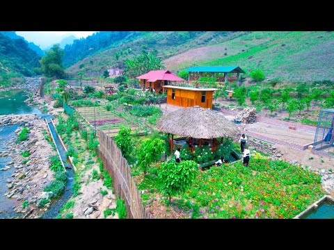 Видео: Как построить ферму мечты — собирайте урожай и продавайте, стройте, занимайтесь аквакультурой