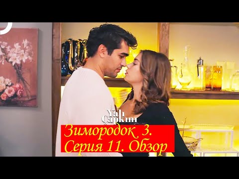 Видео: Зимородок 3  Серия 11  Обзор   пересказ