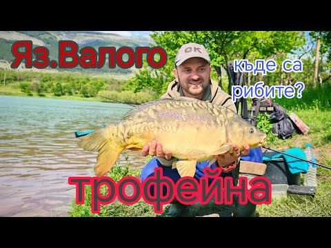Видео: Яз .ВАЛОГО ,РИБИ МНОГО !РИБОЛОВ НА ШАРАН НА МЕТОД ФИДЕР !