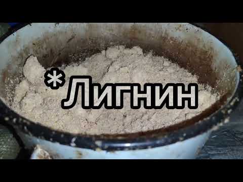 Видео: Варёные опилки - это отличный субстрарт для червей!🪱