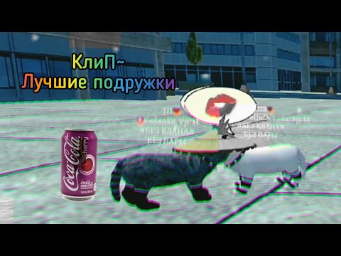 Видео: ~КлиП~ ^Лучшие подружки^ в "Cute Cat And Puppy World"