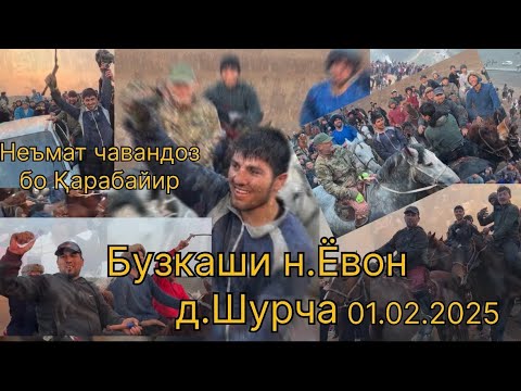Видео: Бузкаши д.Шурча Баромади Неъмат бо Қарабайир #бузкаши #купкари #улок #кокбору #laqaynews