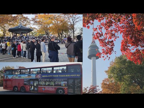 Видео: K-Pop Demon Hunters Башня Намсан привлекает иностранцев / Осенние листья красиво окрашены