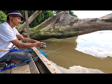 Видео: Потрясающая речная рыбалка на креветок! Мне удалось поймать много креветок.