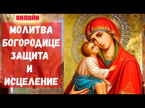 Видео: ПРОСИ СЕГОДНЯ 1 ноября у Богородицы здравия и защиты