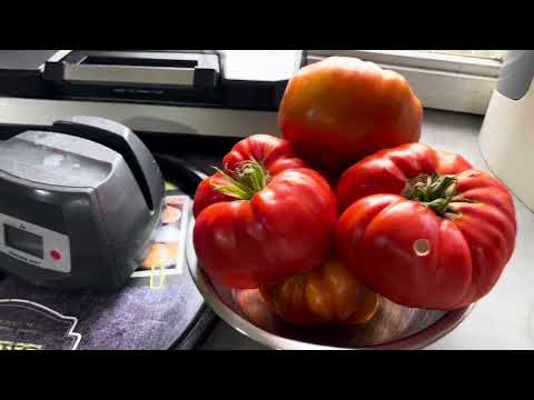 Видео: Помідори-велетні 🍅#помідори #пиріг #plants #tomate #