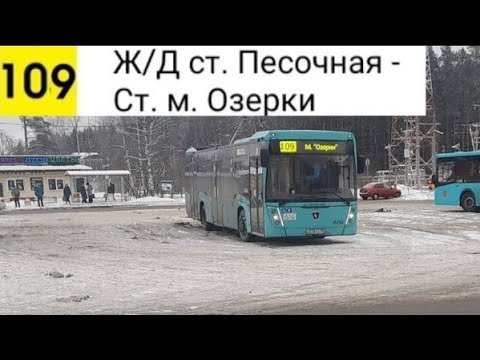 Видео: Автобус 109. Ж/Д ст. Песочная - Ст. м. Озерки