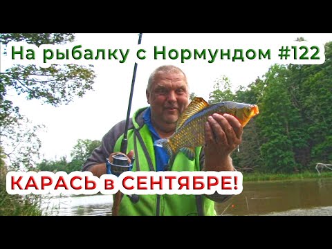 Видео: КАРАСЬ в СЕНТЯБРЕ! / На рыбалку с Нормундом #122