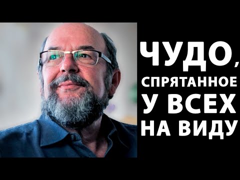 Видео: ПРОСВЕТЛЕНИЕ | ПУТЬ БЕССИЛИЯ [УЭЙН ЛИКЕРМЭН]