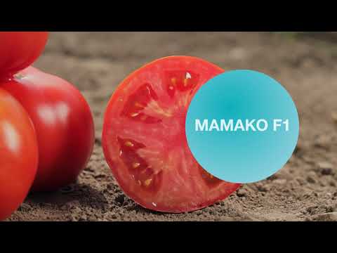 Видео: МАМАКО F1 | Овощная усадьба