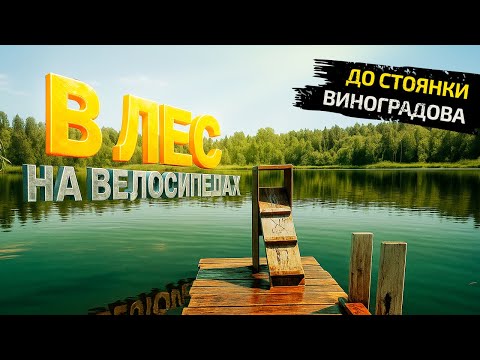 Видео: На велосипедах через "Круглое" на "Виноградова" (падение в грязь)
