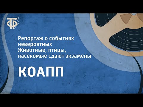 Видео: КОАПП. Репортаж о событиях невероятных. Животные, птицы, насекомые сдают экзамены (1979)