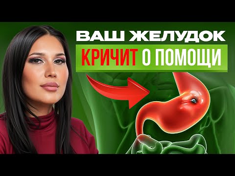 Видео: Забудьте про ГАСТРИТЫ, Язвы и Боли в желудке — 5 секретов