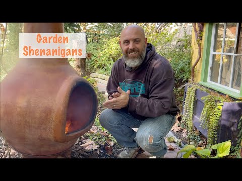 Видео: Проделки 1 ноября