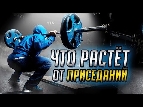 Видео: ЧТО РАСТЁТ ОТ ПРИСЕДАНИЙ СО ШТАНГОЙ