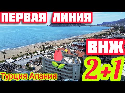 Видео: Под ВНЖ НЕДОРОГО ПЕРВАЯ ЛИНИЯ 2+1 квартира в Алании ПОД КЛЮЧ недвижимость в Турции НА МОРЕ