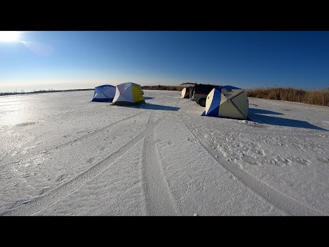 Видео: ЗИМНЯЯ РЫБАЛКА С НОЧЁВКОЙ! ЛОВЛЯ САЗАНА , КАРАСЕЙ! Рыбалка в Казахстане.