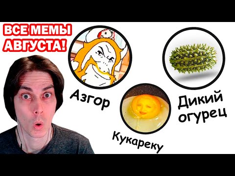 Видео: ДИКИЙ ОГУРЕЦ, DRIVING IN MY CAR - АЗГОР ЗАДАВИЛ ДЕСС - ВСЕ МЕМЫ АВГУСТА - Бебраниум Реакция