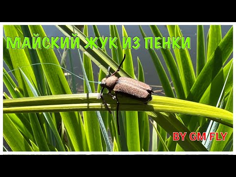 Видео: Майский Жук из пенки (Chafer from foam) Как связать от GM FLY