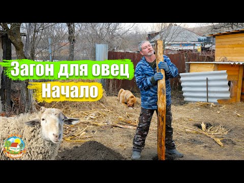 Видео: #154 Загон для овец начало. Вторая посылка из Красноярска. Жизнь в деревне.