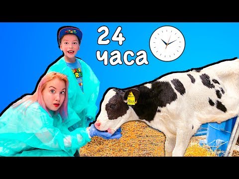 Видео: Света и Богдан 24 часа на ферме! Мама устроила челлендж