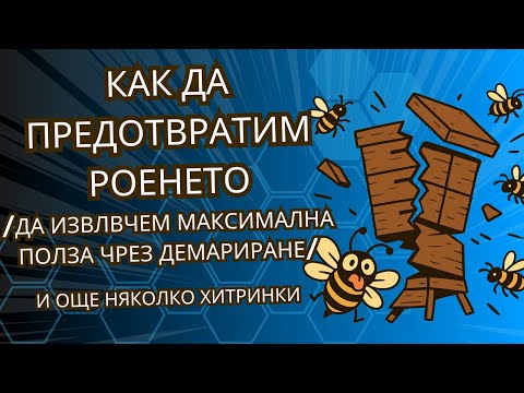 Видео: Как да предотвратим роенето чрез демариране,  да извлечем максимална полза и още няколко хитринки.