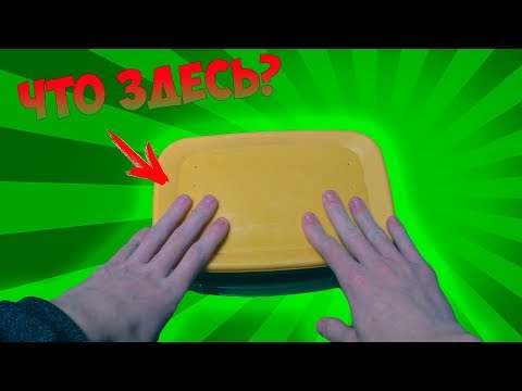 Видео: ЧТО В ЭТОМ КОНТЕЙНЕРЕ!? А ТАМ АУЛОФОРУС И НЕМАТОДА...