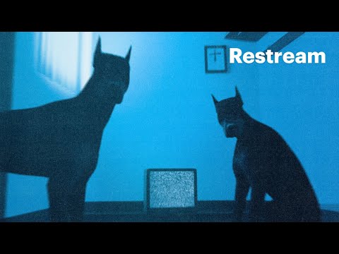 Видео: АЛЬБОМНЫЕ РАЗБОРКИ | Кровь из носа, Metox — гуманитарная катастрофа