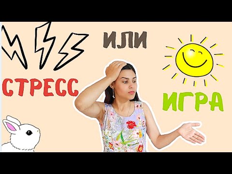 Видео: Как играть с декоративными кроликами и нужно ли им это?