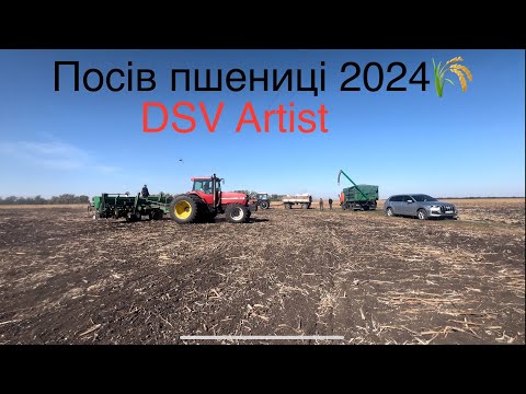 Видео: Посів пшениці 🌾 2024 на Полтавщині‼️ Сіємо в бетон😱 Всі сподівання на дощ 🌧️ DSV Artist💪