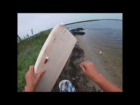 Видео: Снасть на лобаня