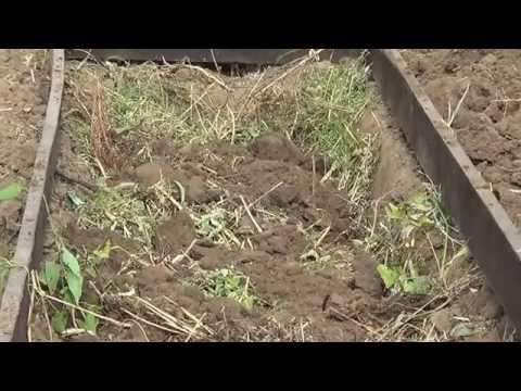 Видео: Как сделать теплую грядку (органическую траншею)