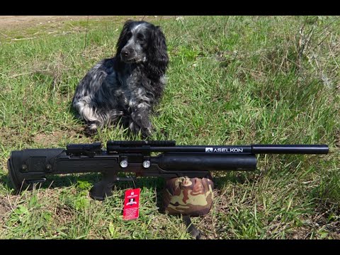 Видео: PСP "ASELKON MX8" финальный аккорд