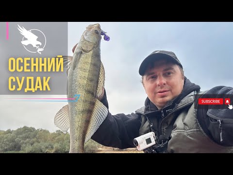 Видео: Ловля судака на осенней реке джиг-спиннингом без эхолота