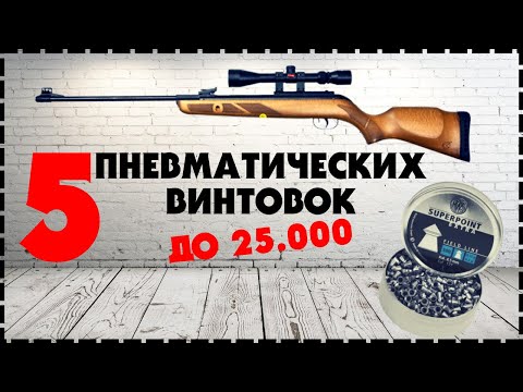 Видео: Топ 5 Пневматических Винтовок До 25000