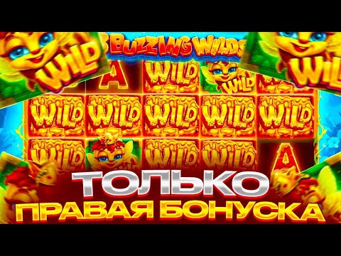 Видео: 3 Buzzing Wilds ВЫДАЛ ПО ЧУЕЧКИ???ПОШЛА ВОЗНЯ!!!