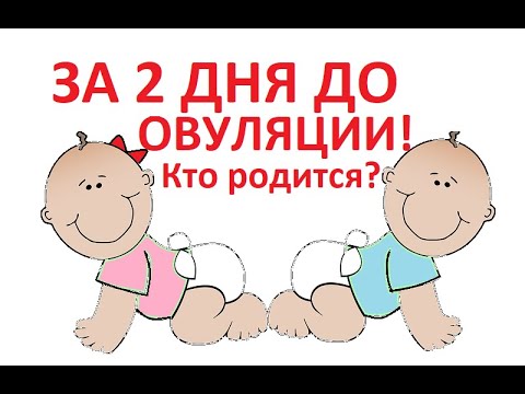 Видео: ❤️Контакт (ПА) за 2 дня до 💥овуляции. Кто родится👦👧? (Для зачатия!)