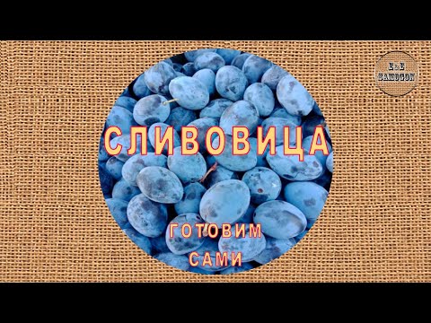 Видео: Сливовица. Готовим сами.