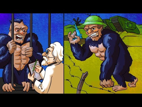 Видео: Самые Странные Эксперименты Ученых