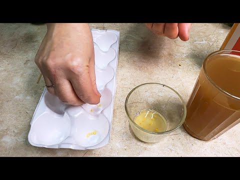 Видео: СДЕЛАЙТЕ ЭТО ПЕРЕД ПОСЕВОМ С СЕМЕНАМИ ПЕРЦА!