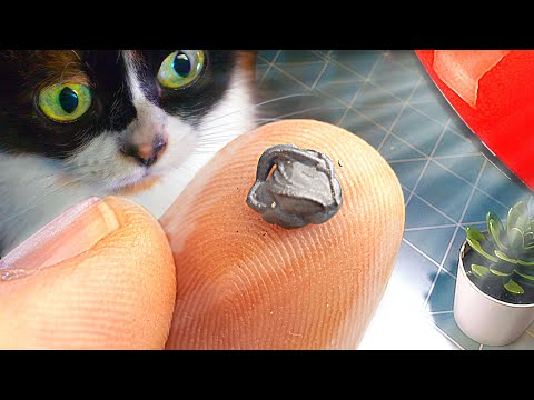 Видео: ВОТ ЧТО МЫ КУПИЛИ НА ALIEXPRESS!
