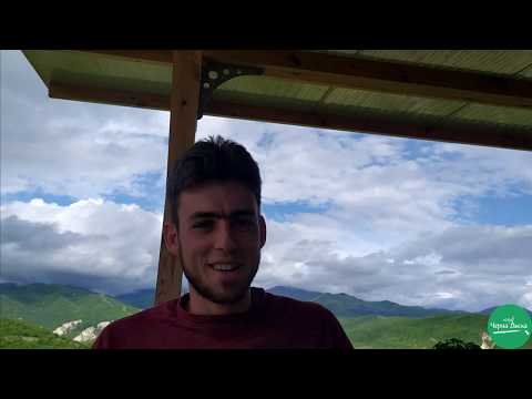 Видео: Права пропорционалност 6 клас Математика