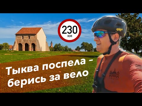 Видео: Урожайная поздка во Франкфурт и Майнц | Веловыходной @TemLetom