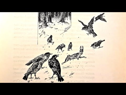 Видео: «Петька—зайчик». Рассказ. Н.Н. Каразин.