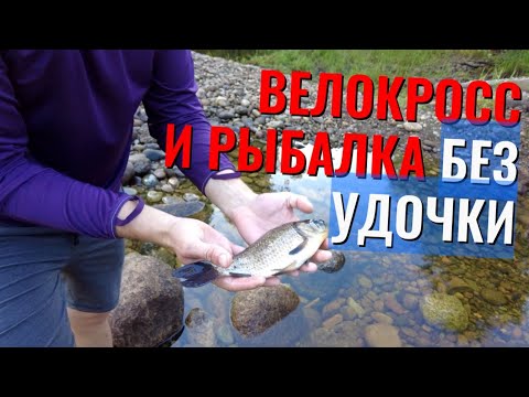 Видео: Как поймать рыбу  без удочки после 20 км на велосипеде?🚴‍♂️🐟