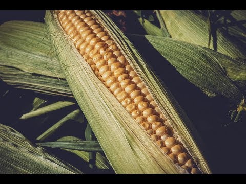 Видео: Половое воздержание, простатит и застои.