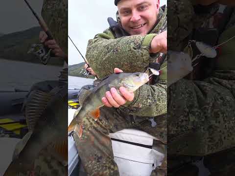 Видео: Рыбалка на Саяно-Шушенском водохранилище.